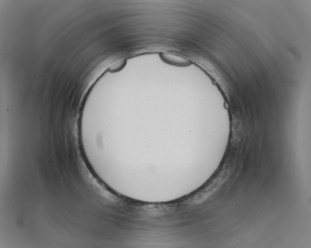 X0000111430906200908101113