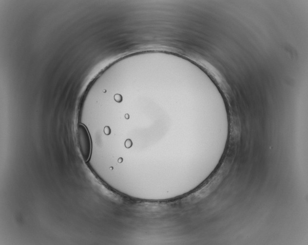 X0000111430910200908101113