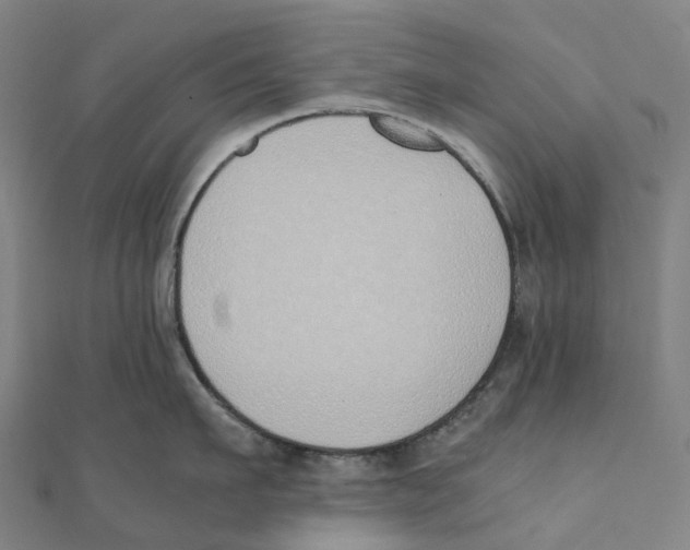 X0000111430911200908101113