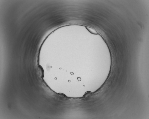 X0000111430912200908101113