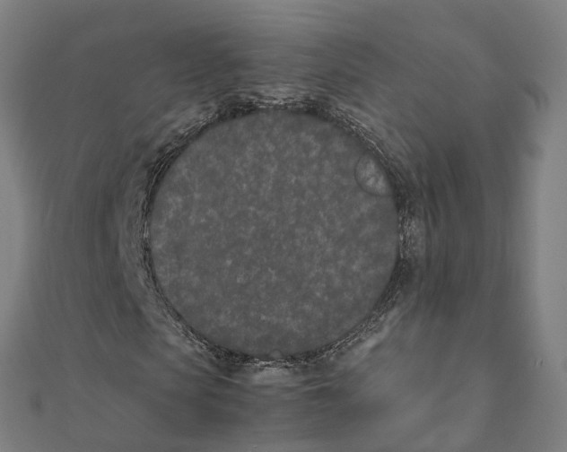 X0000111430913200908101113