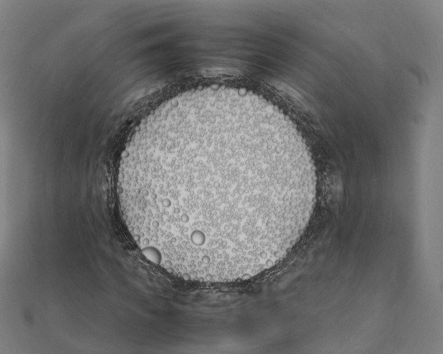 X0000111430917200908101113