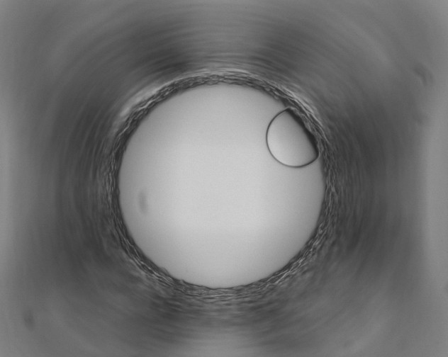 X0000111430920200908101113