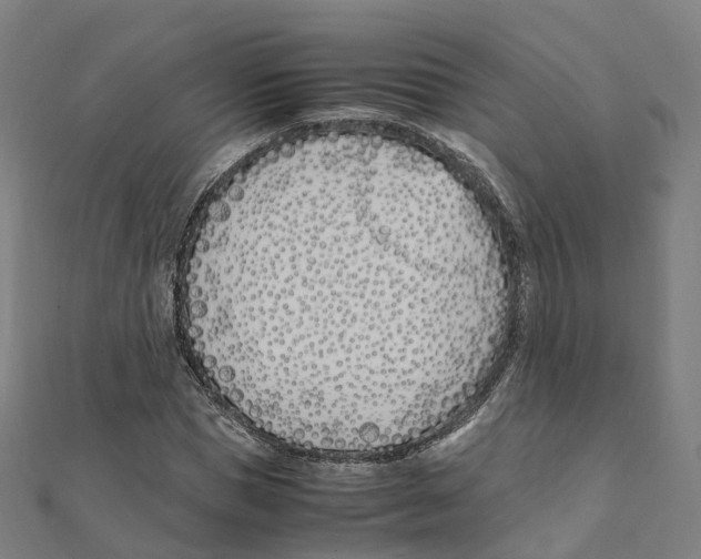X0000111430921200908101113