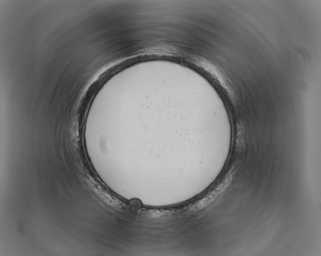 X0000111430923200908101113