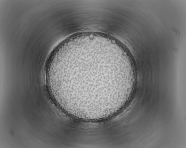 X0000111430925200908101113