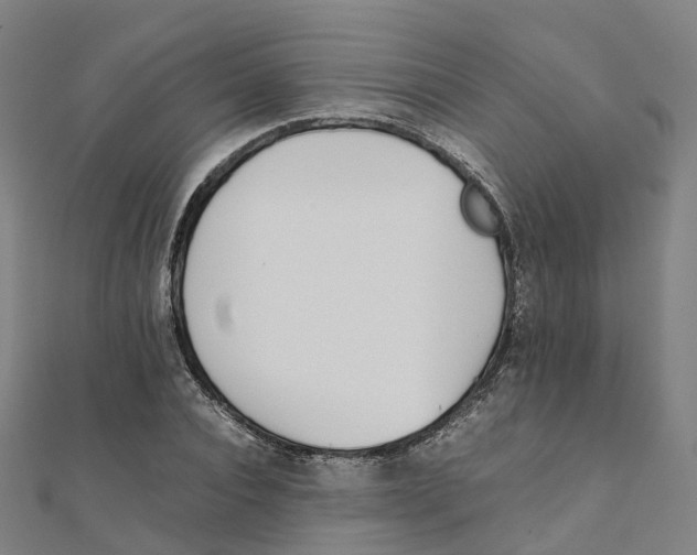 X0000111430928200908101113