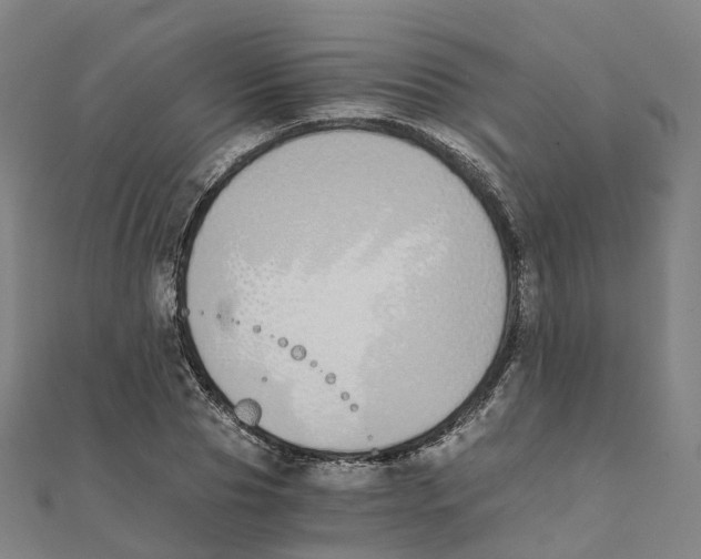 X0000111430929200908101113