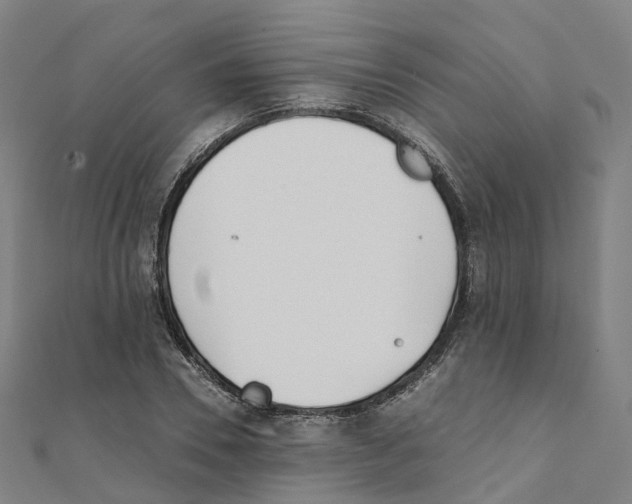 X0000111430930200908101113