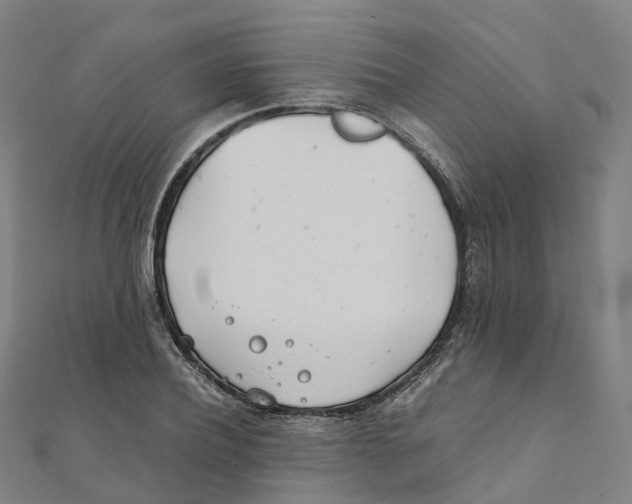 X0000111430932200908101113