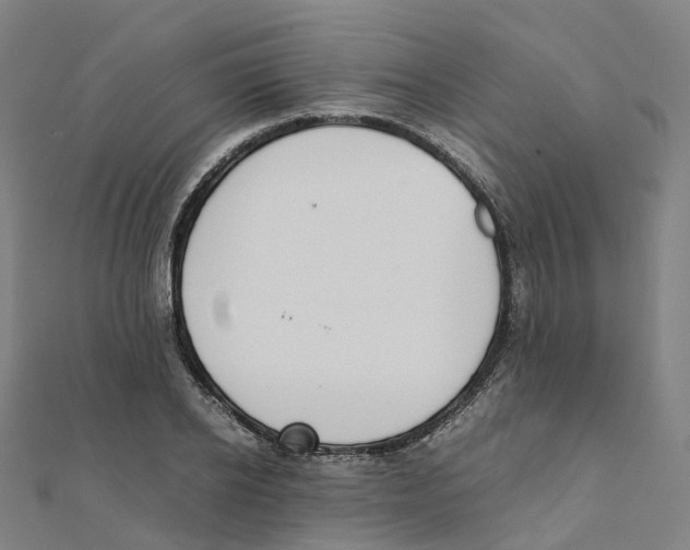 X0000111430934200908101113