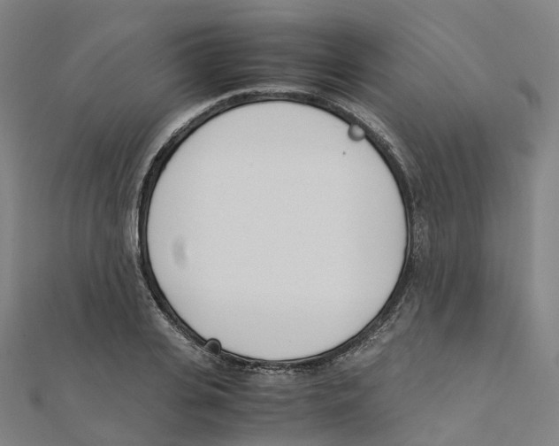 X0000111430935200908101113