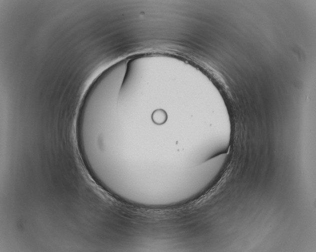 X0000111430936200908101113