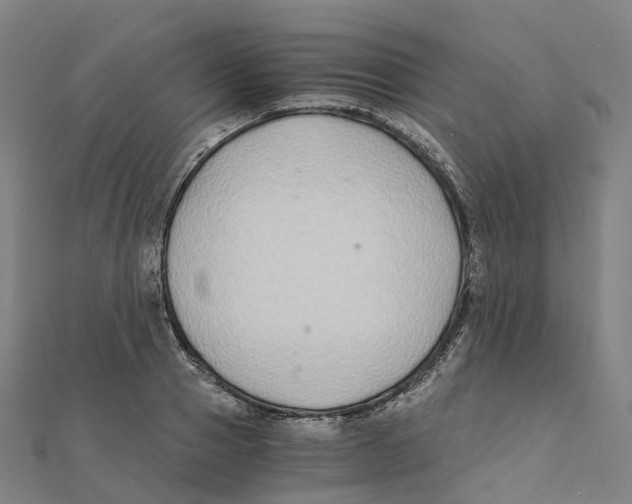 X0000111430937200908101113