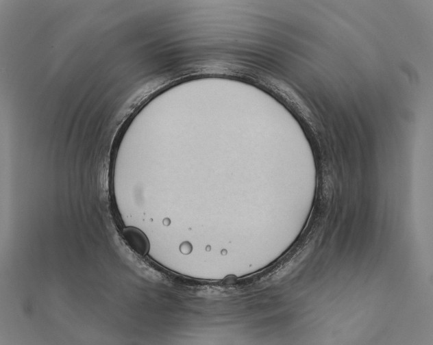 X0000111430938200908101113