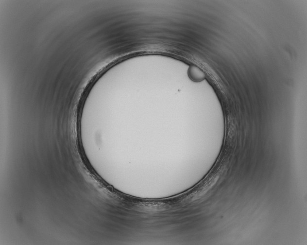 X0000111430939200908101113