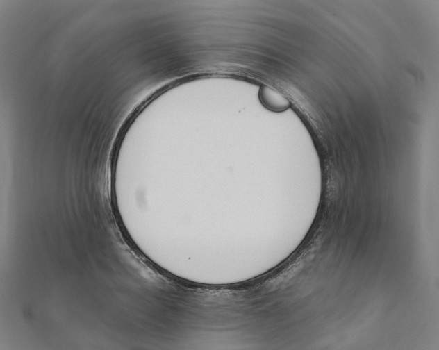 X0000111430940200908101113