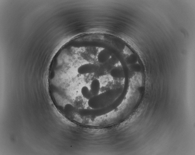 X0000111430941200908101113