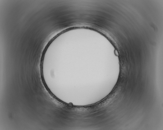 X0000111430943200908101113