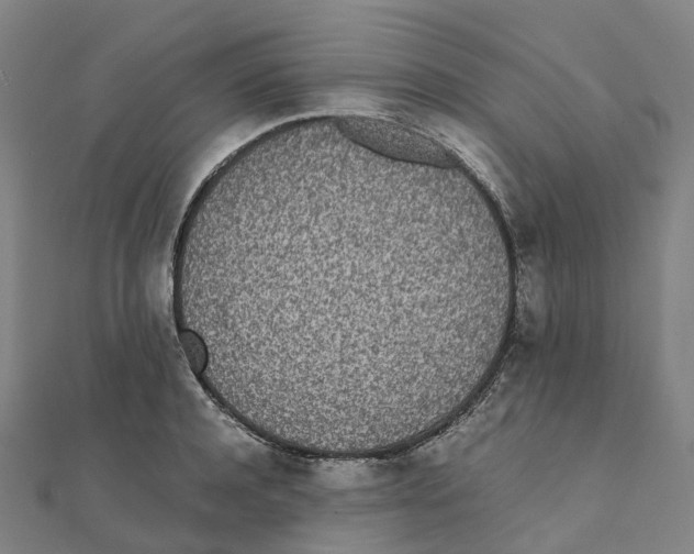 X0000111430944200908101113