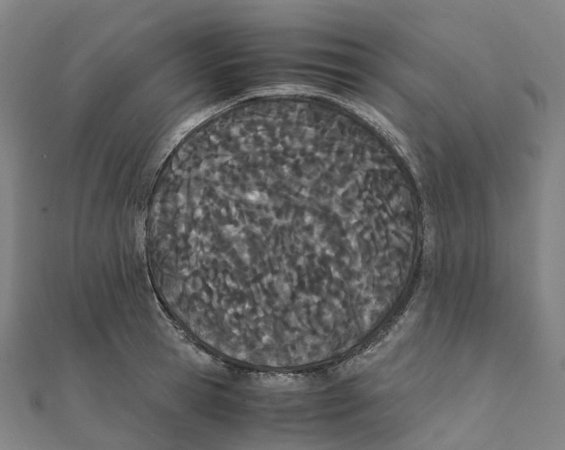X0000111430945200908101113