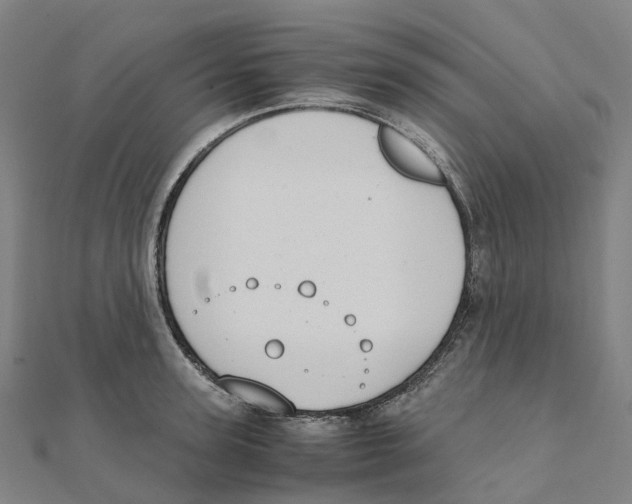 X0000111430947200908101113