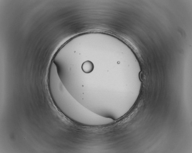 X0000111430948200908101113