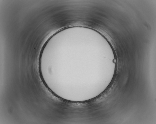 X0000111430949200908101113