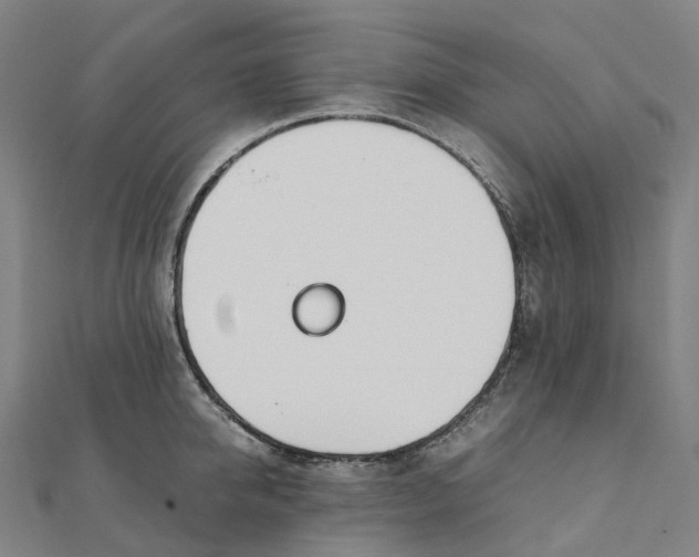 X0000111430950200908101113