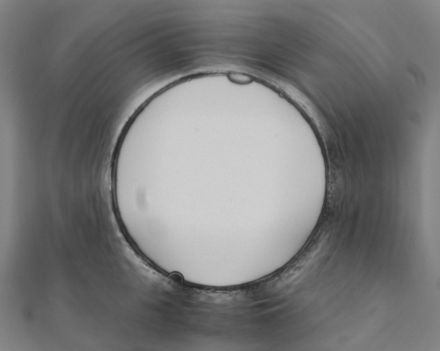 X0000111430951200908101113
