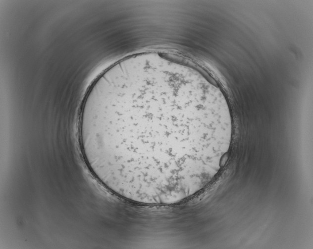 X0000111430952200908101113