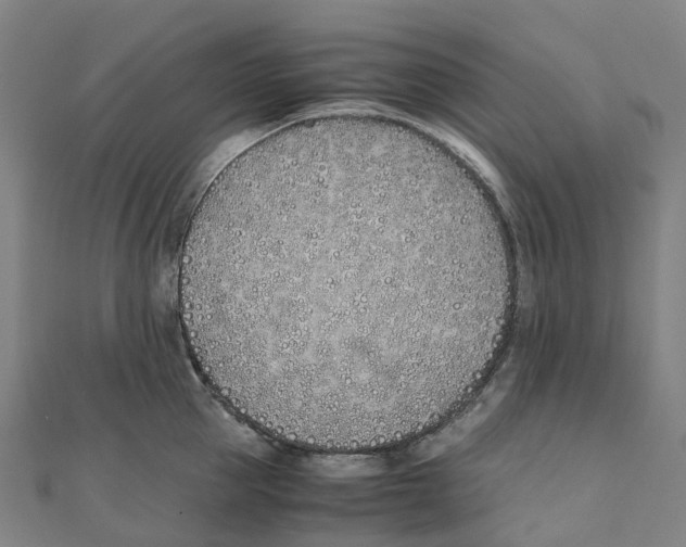 X0000111430953200908101113