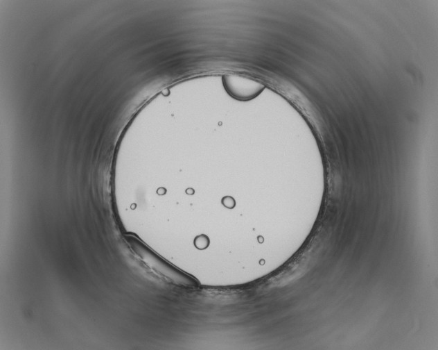 X0000111430954200908101113