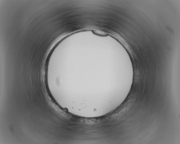 X0000111430955200908101113