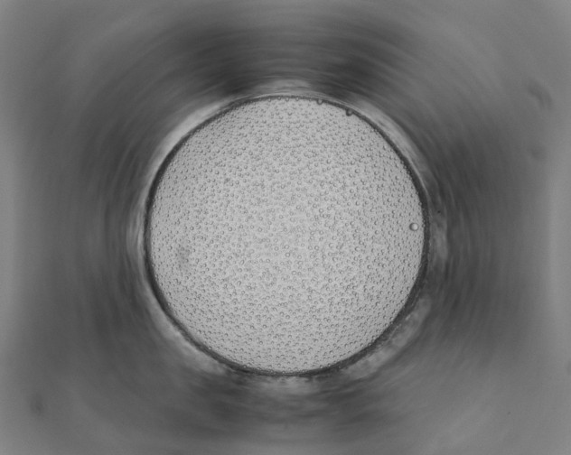 X0000111430957200908101113