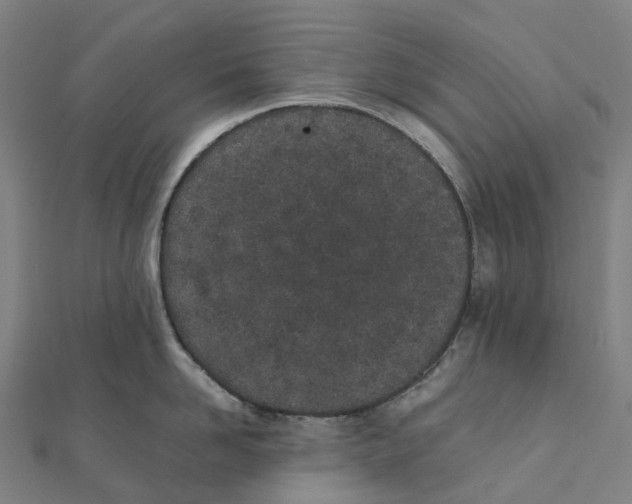 X0000111430958200908101113