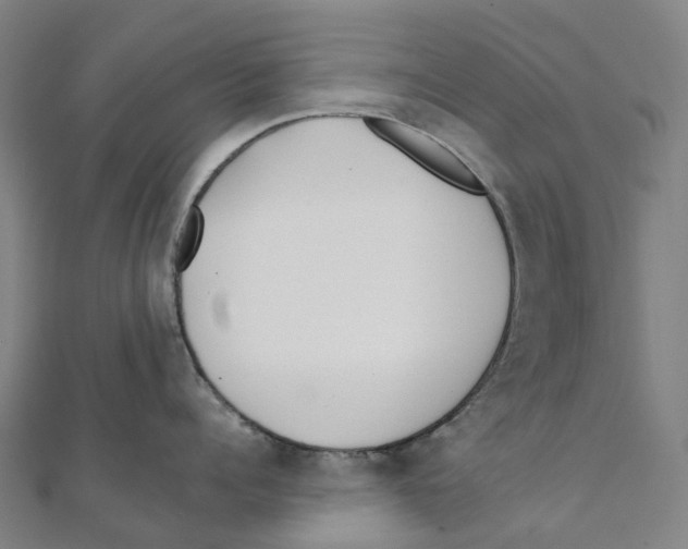 X0000111430960200908101113