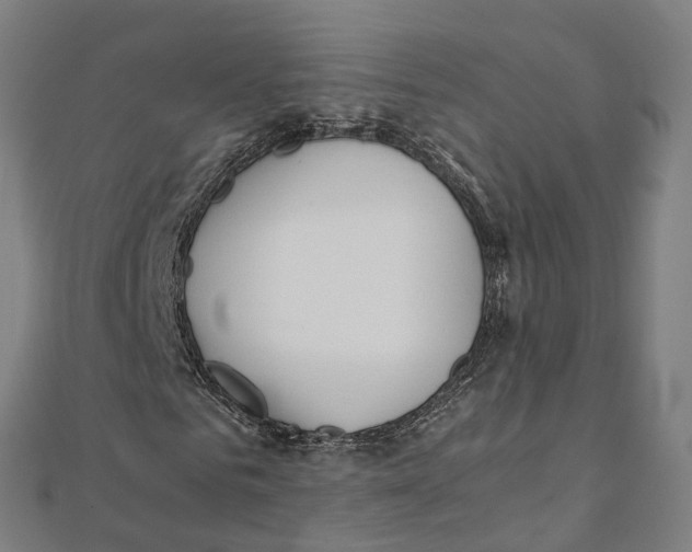 X0000111430961200908101113