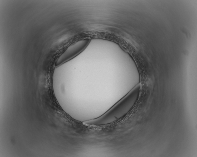 X0000111430965200908101113