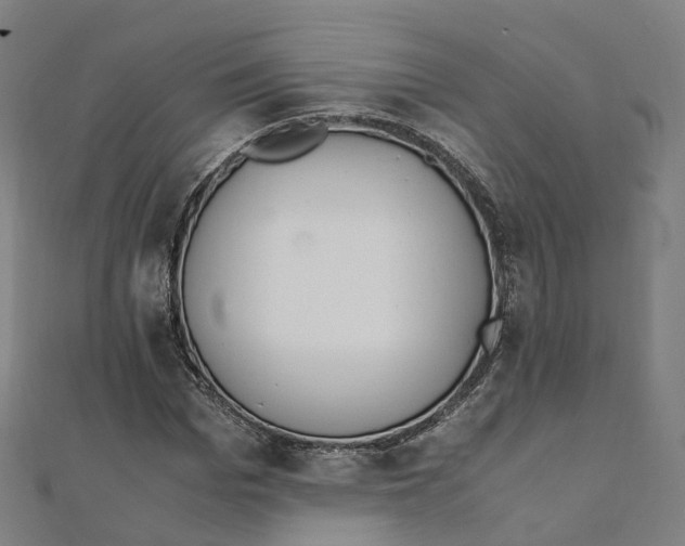 X0000111430969200908101113