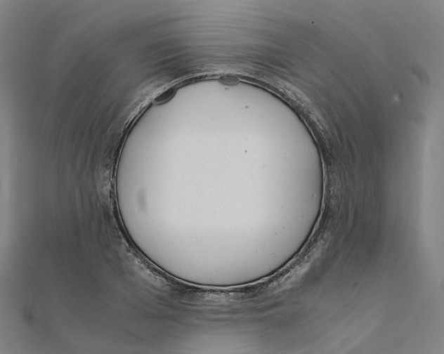 X0000111430985200908101112