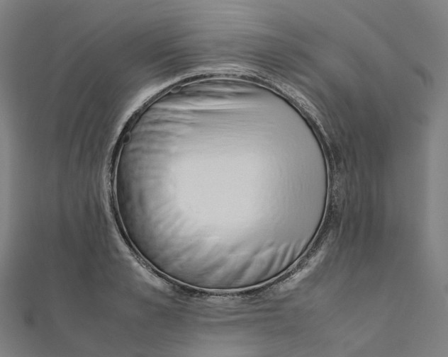 X0000111430989200908101112