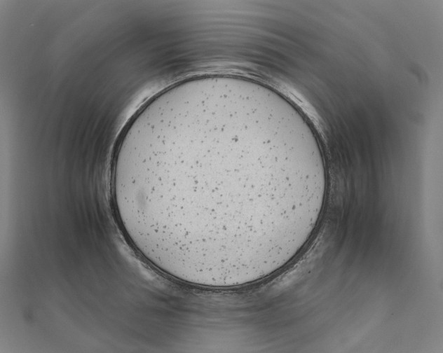 X0000111430994200908101112