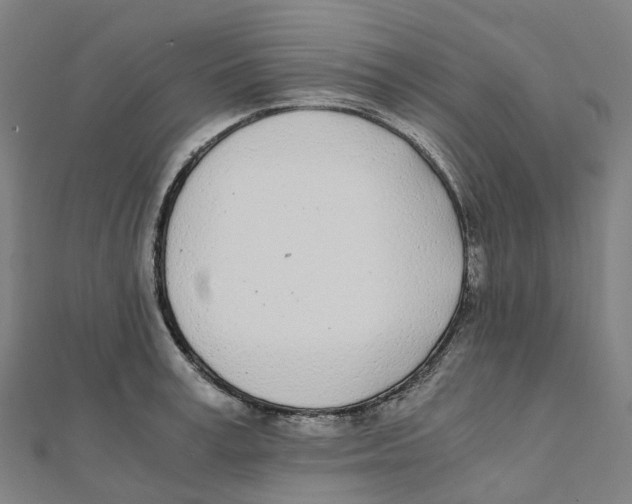 X0000111430995200908101112