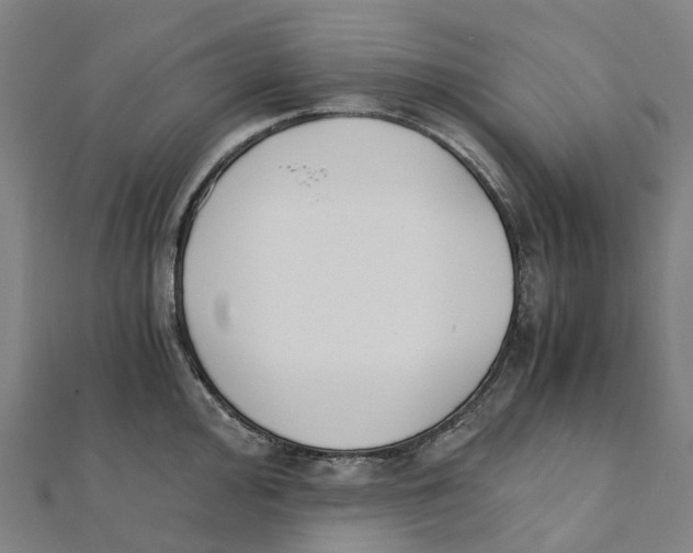 X0000111431000200908101112