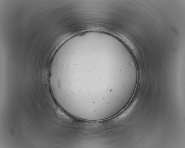X0000111431001200908101112