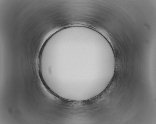 X0000111431003200908101112