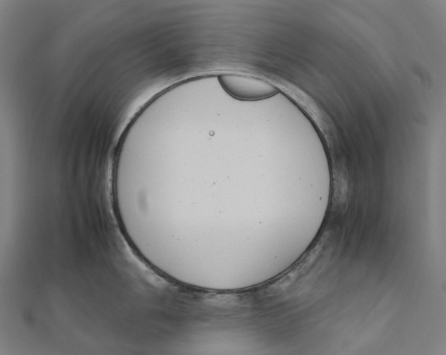 X0000111431006200908101112