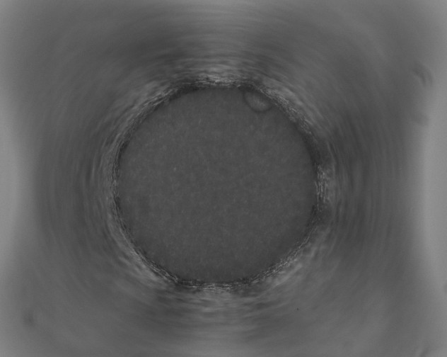 X0000111431009200908101111