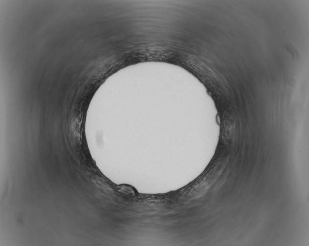 X0000111431010200908101111